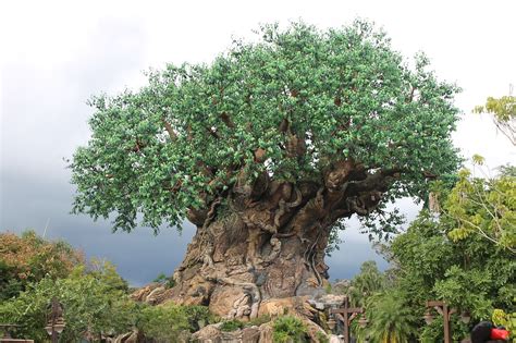 Disney Tree Of Life Animal Kingdom - Free photo on Pixabay