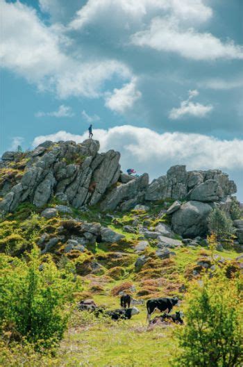 The best dartmoor walks in devon for all hiking levels – Artofit