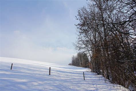 Meadows and Fields in Winter Stock Image - Image of frost, hill: 68494459