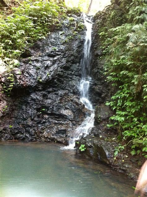 Bunya Mountains | Mountains, National parks, Toowoomba