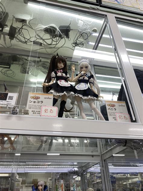 みほ🌸 Vtuber | Emote CMs Open! on Twitter: "Explored the main @AmiAmi_English store! This was ...