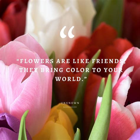 Quotes About Flowers And Friends - Hester Alejandrina