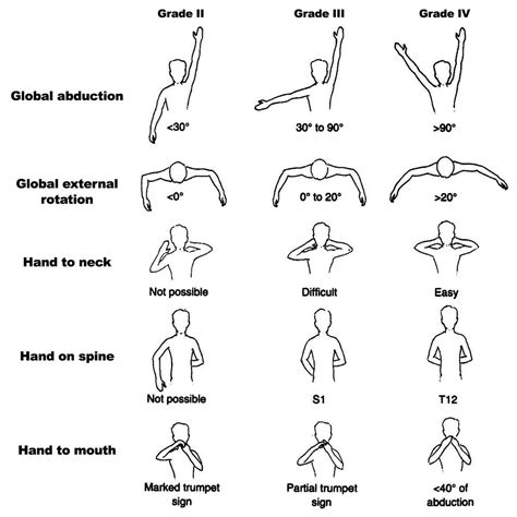 Reliability of Three Classification Systems Measuring Active Motion in ...