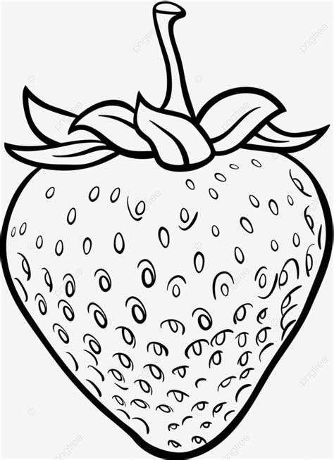 Strawberry Illustration For Coloring Book Black Fruit Healthy Vector, Black, Fruit, Healthy PNG ...