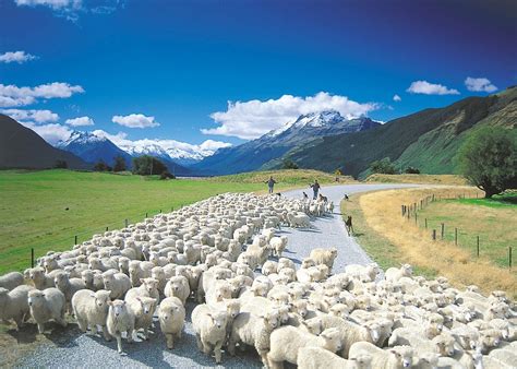 Visit Glenorchy on a trip to New Zealand | Audley Travel