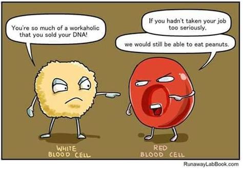 White/red cells fi | Biology humor, Biology jokes, Biology facts