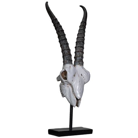 Antelope Skull - YTC Summit - Touch of Modern