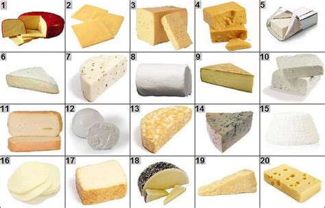 How Many Different Types Of Cheese Are There – Otosection