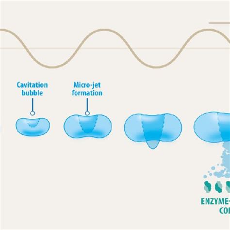 Schematic representation of the ultrasonic cavitation phenomena. | Download Scientific Diagram