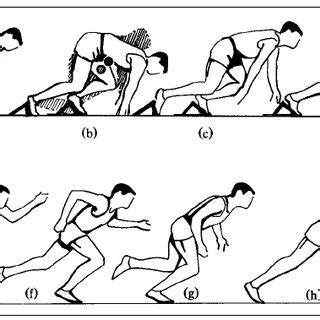 (PDF) Sprinting kinematics of athletes with selected disabilities