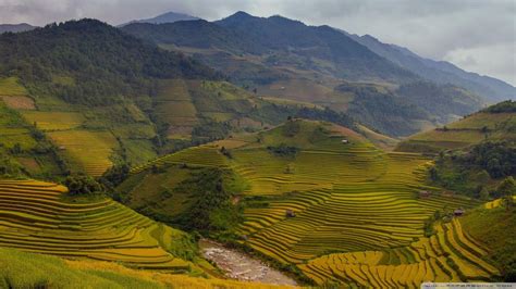 Rice Terraces HD Wallpapers - Top Free Rice Terraces HD Backgrounds - WallpaperAccess