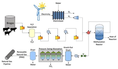 Cow poop could help us make clean(er) energy | Popular Science