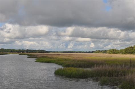 Sapelo Island - Georgia's Jewel Barrier Island - Travel With Annita