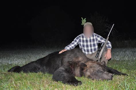 Bear Hunt in Estonia, Come Hunt Bear and live an unforgettable experience