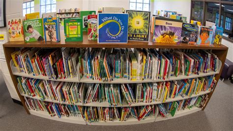 Georgia made it easier for parents to challenge school library books ...