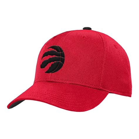 Youth Toronto Raptors Precurve Snapback Cap | Sport Chek