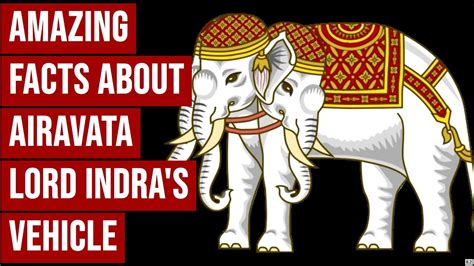 Facts about Airavata : Lord Indra's Vehicle : Ancient Indian Facts - YouTube