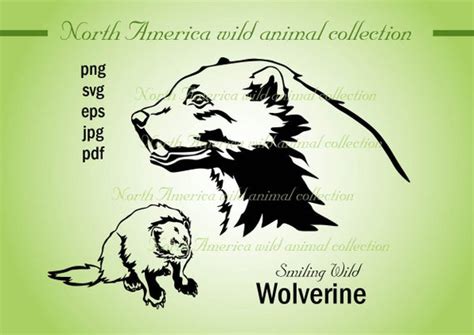 Wolverine Animal Vector at Vectorified.com | Collection of Wolverine ...