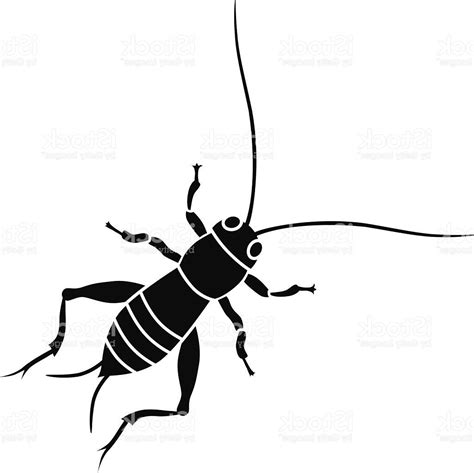 Cricket Insect Vector at Vectorified.com | Collection of Cricket Insect ...