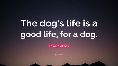 Edward Abbey Quote: “The dog’s life is a good life, for a dog.”