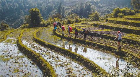 Trekking in Sapa: A guide of everything you need to know | localvietnam