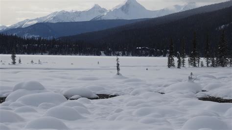 Yoho National Park in Winter | Tourism Golden