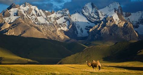 Wildlife of Kyrgyzstan