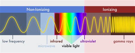 Life in the Extreme: Radiation | News | Astrobiology