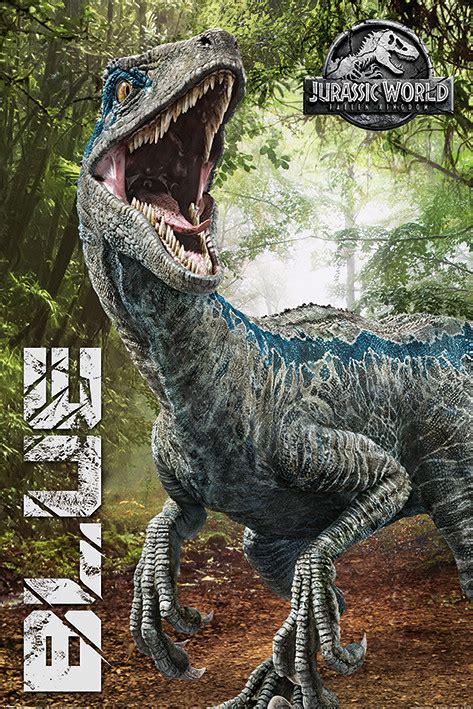 Affiche, tableau avec cadre Jurassic World Fallen Kingdom - Blue ...