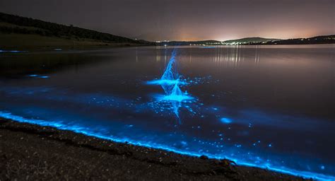 We have glowing beaches here on Earth and they are spectacular ...