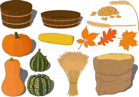 Harvest festival or thanksgiving day collection vector illustration ...