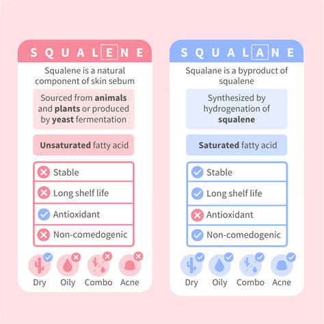 Squalane vs Squalene: What's the Difference?