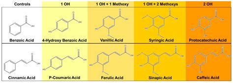 Pharmaceutics | Free Full-Text | Characterization of Phenolic Acid ...