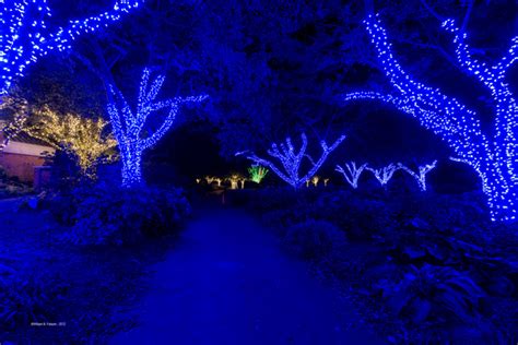 Neighborhood Choice Realty Vienna's Meadowlark Botanical Gardens Winter Walk of Lights - Now ...