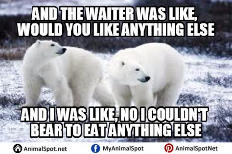 Polar Bear Memes