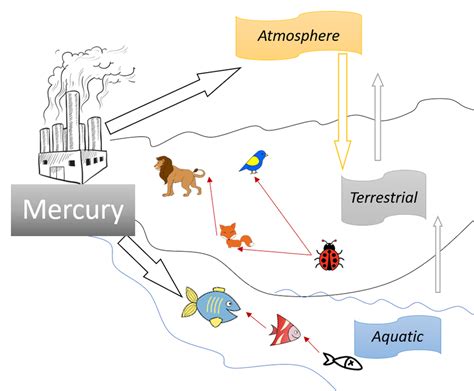 Tracking Mercury Pollution Sources: Developing an Analytical Method for ...