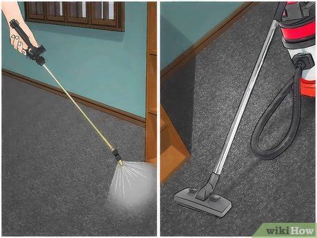 4 Ways to Get Rid of Fleas in Carpets - wikiHow