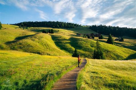 Best Alpe di Siusi Hike: Seiser Alm Meadows Circuit Trail