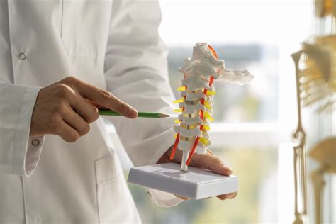 Regenerating Full Spinal Cord Damage Reverses Paralysis - eMedNews