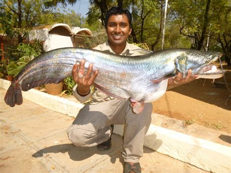 Deccan Angler-Latest fishing reports | Fishing trips | Fishing tackle | Fishing advise ...