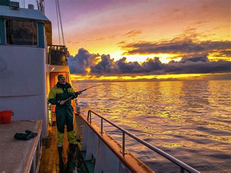 Lofoten Winter Fishing Weekend - Visit Lofoten