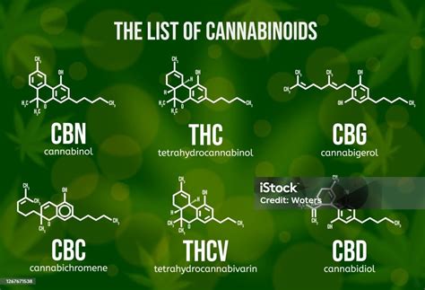 Illustration Vectorielle Réaliste Des Composés Cannabinoïdes Structure Chimique Des Composants ...