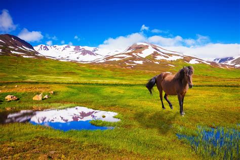 Ring Road Circle of Iceland - 7 Day Guided Tour