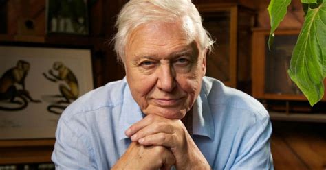 Sir David Attenborough Set To Return With A Must-See BBC Documentary ‘Dynasties’ – Elite Readers