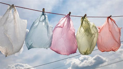 The Right Way to Clean and Reuse 'Single-Use' Plastic Bags