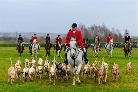 Scent trail hunt excites crowds as traditional Boxing Day meet goes ahead despite poor weather