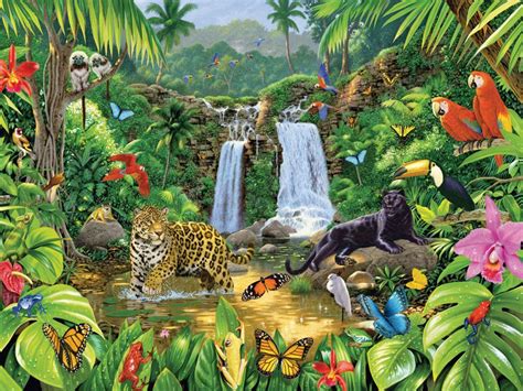 Amazon Rainforest Animals Wallpaper