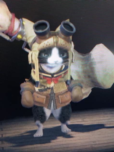 Palico image share thread? Here's mine to start. : r/MonsterHunter