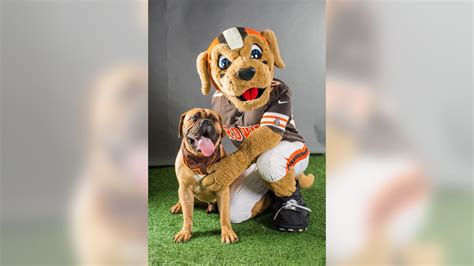 Swagger, Cleveland Browns mascot, dies at 6 - oggsync.com