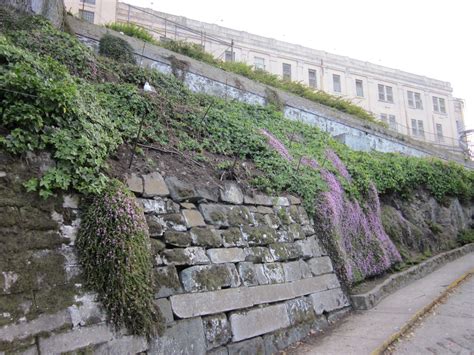 The beautiful garden on Alcatraz | Alcatraz, National parks, Beautiful gardens